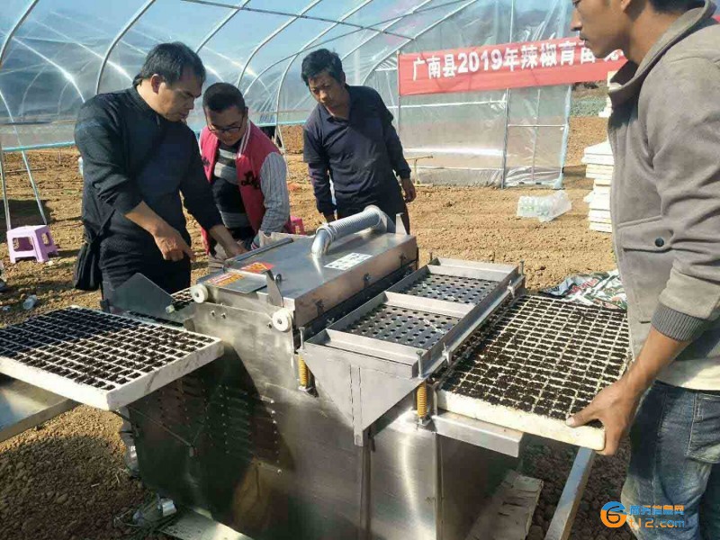 泡沫穴播种机  辣椒茄子漂盘育苗播种机--常州风雷精机